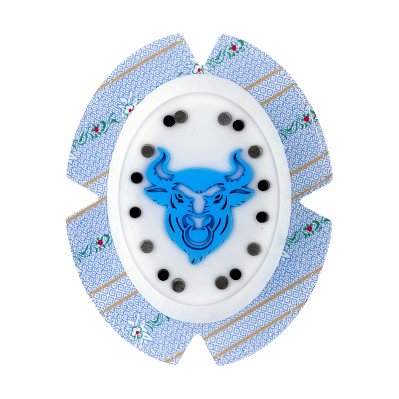 Knieschleifer Swiss "Muni" 1 of 1